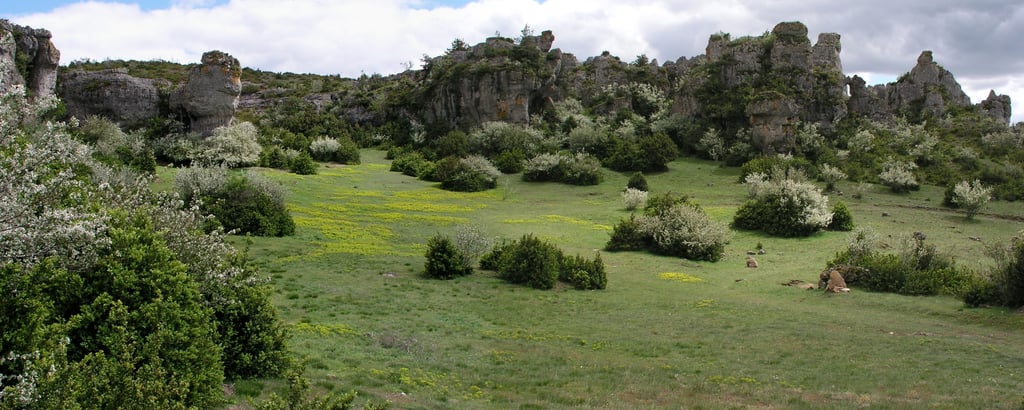 Causse de Larzac typical scenery