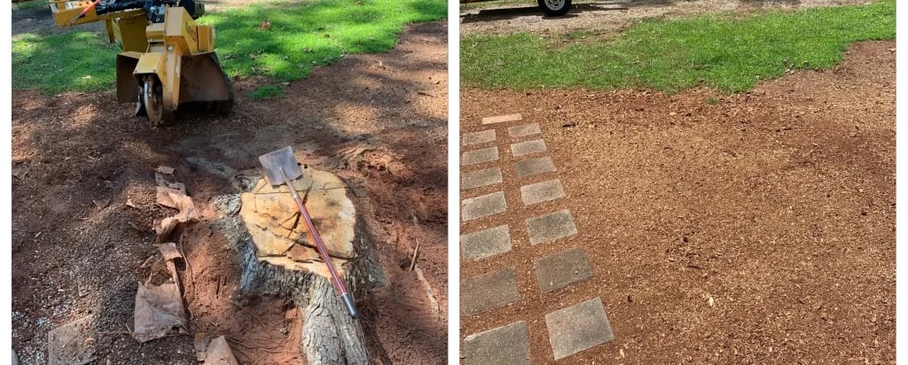 tree Stump removal Nottingham