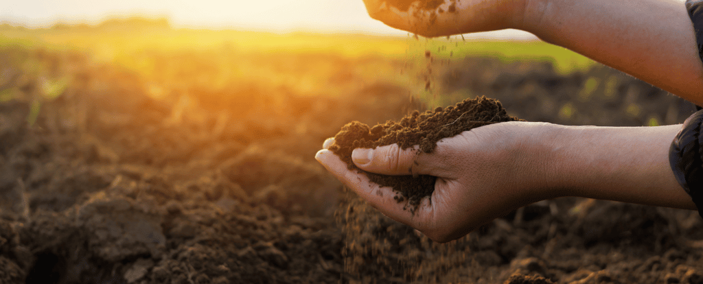 manifest-meaning-how-to-manifest-inner-energy-harmony