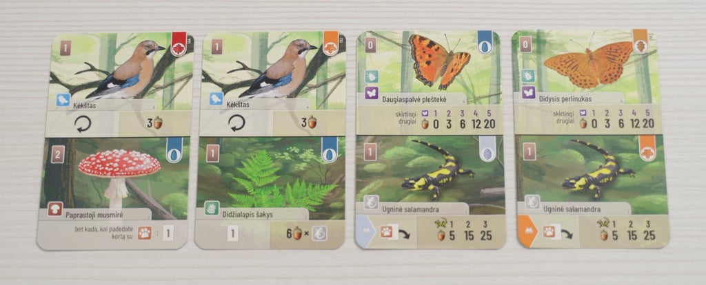 Keturių žaidimo kortų palyginimas