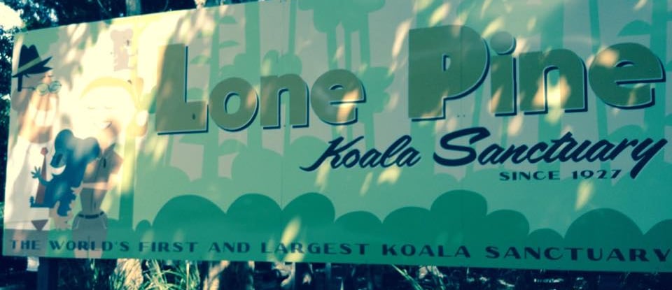 foto da placa do santuario lone pine coala em brisbane australia