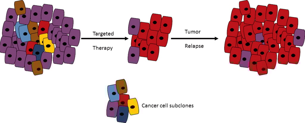 intratumor heterogeneity