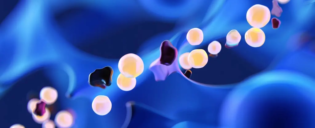 illustration du système himunitaire 