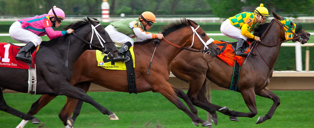 horses racing on racetrack jockeys with whips