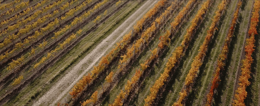 video aziendale brescia video corporate brescia