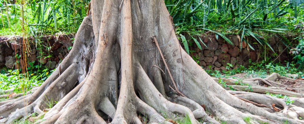 grounding-techniques-what-is-grounding-inner-energy-harmony