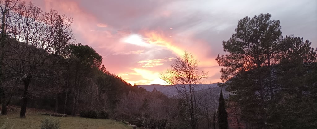 A regular evening spectacle at home