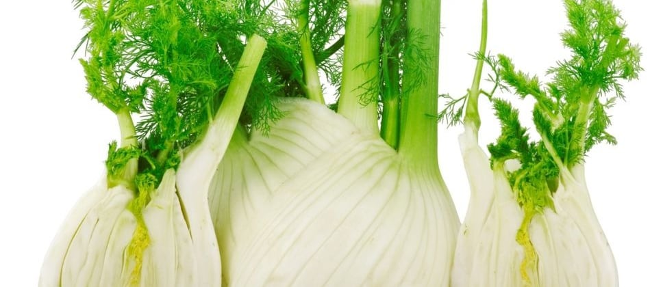Florence Fennel Seeds, has a texture similar to celery and taste reminiscent of aniseed.