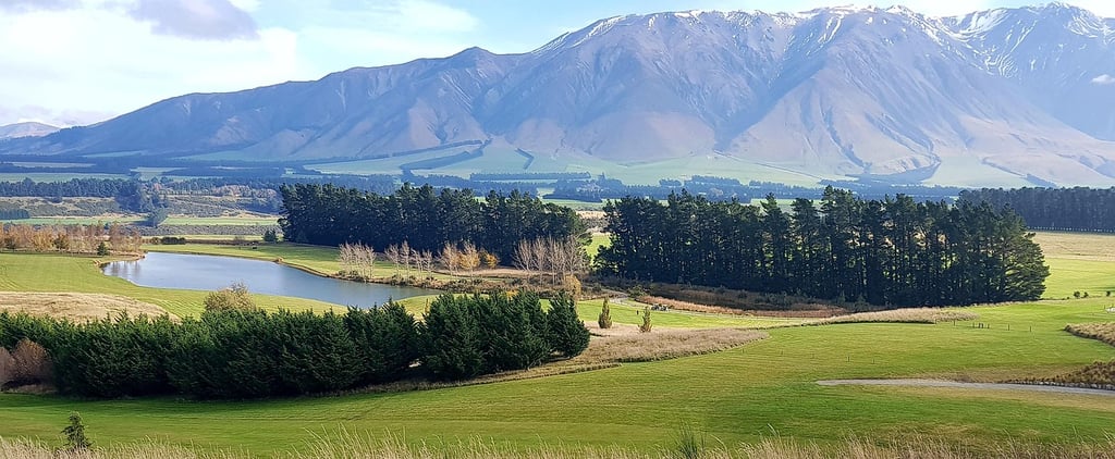 #NewZealandBestStudyAbroadDestination #StudyAbroadConsultantsInMumbai