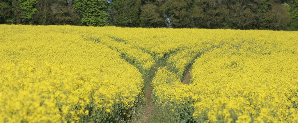 move forward after a breakup