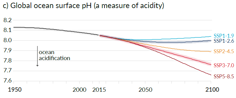 Evolution du PH des océans - GIEC