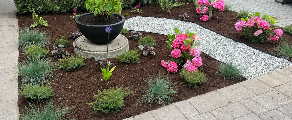 Assortment of Plants