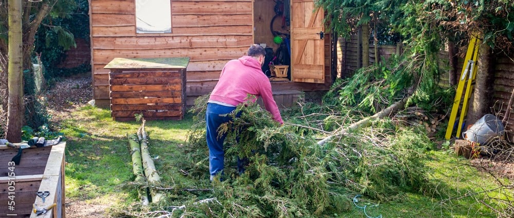 best tree surgeon