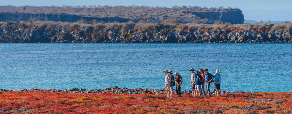 Curious visitors admiring the contrasting views on a coastal walk