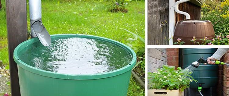 harvesting rainwater image