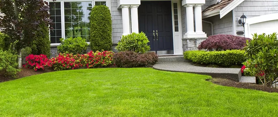 client home, full service landscaping package