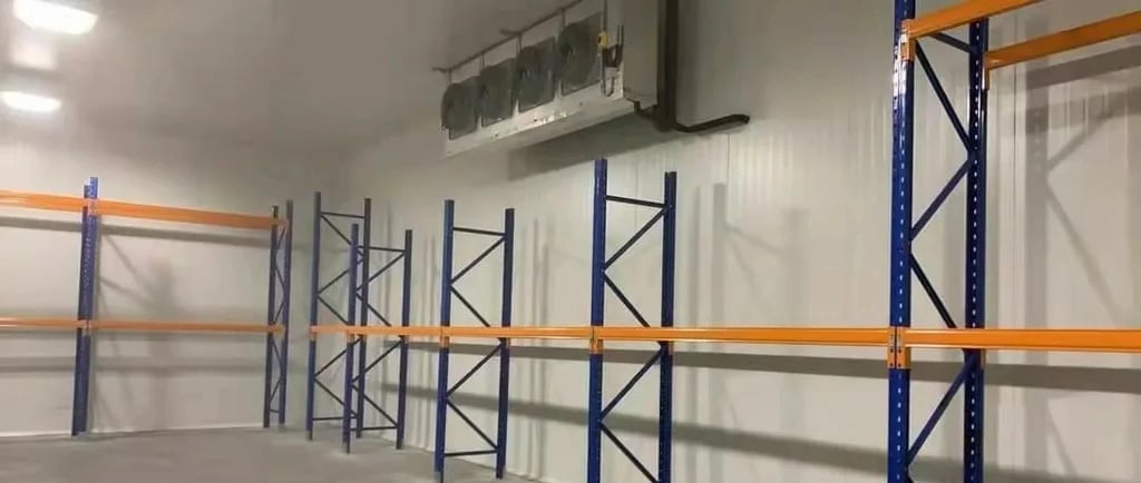 industrial cold storage room for food and logistics