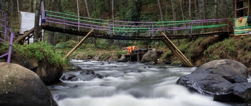 Sebuah jembatan bambu dengan pagar ungu dan hijau membentang di atas aliran sungai deras yang dikelilingi batu besar dan pepo