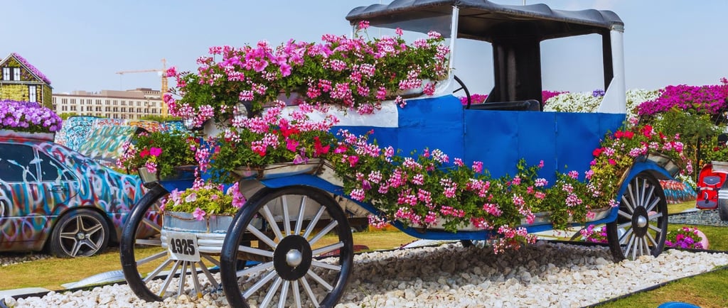 foto de uma charrete cheia de flores no dubai miracle garden