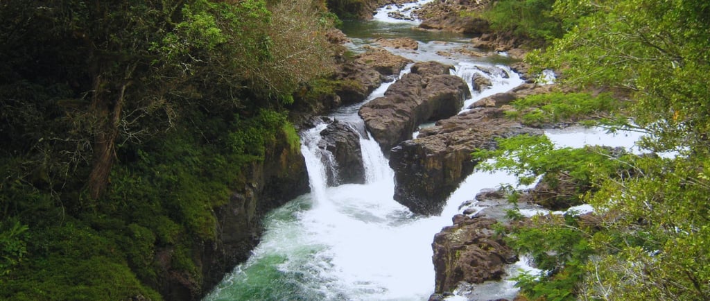foto da vista do rio wailuku em hilo no havai