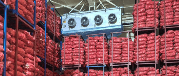potato cold storage room with sprout control system