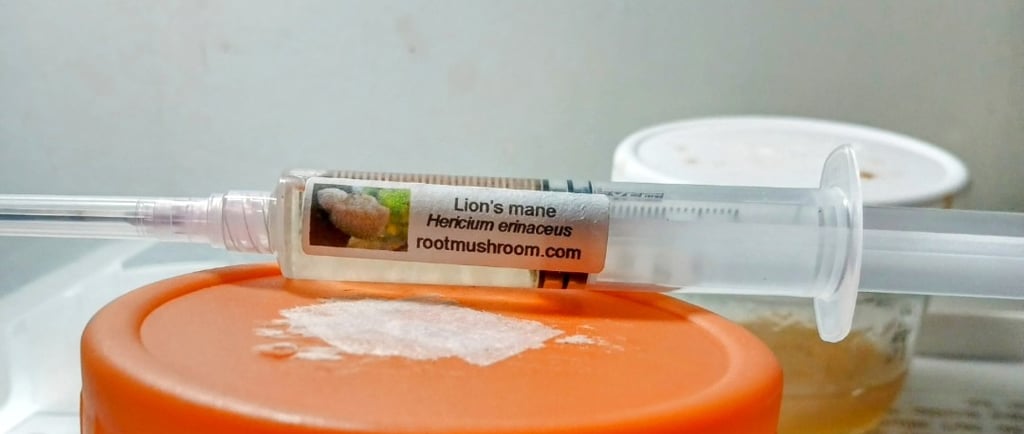 Liquid culture syringe resting on top of a no-pour agar jar, ready for inoculation in a gourmet mush