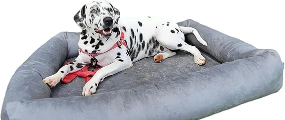 Lavar a cama do cachorro