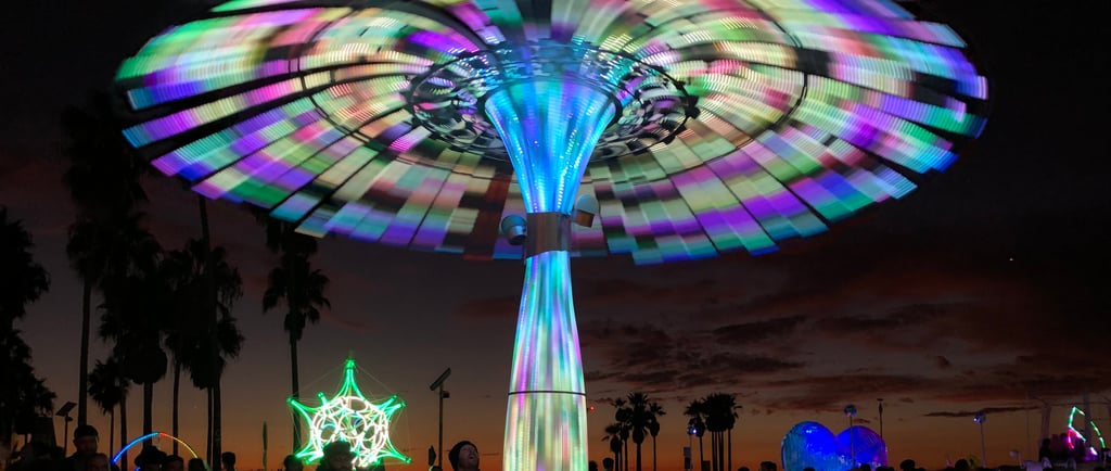 2019 Liquid Forest: The Source