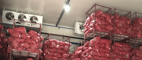 Onion cold storage room interior