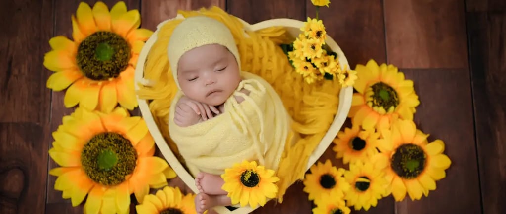 Newborn Photography sunflower themed