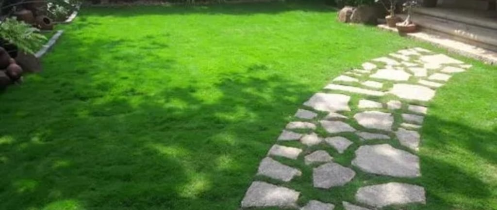 Beautiful backyard with lawn and tiles