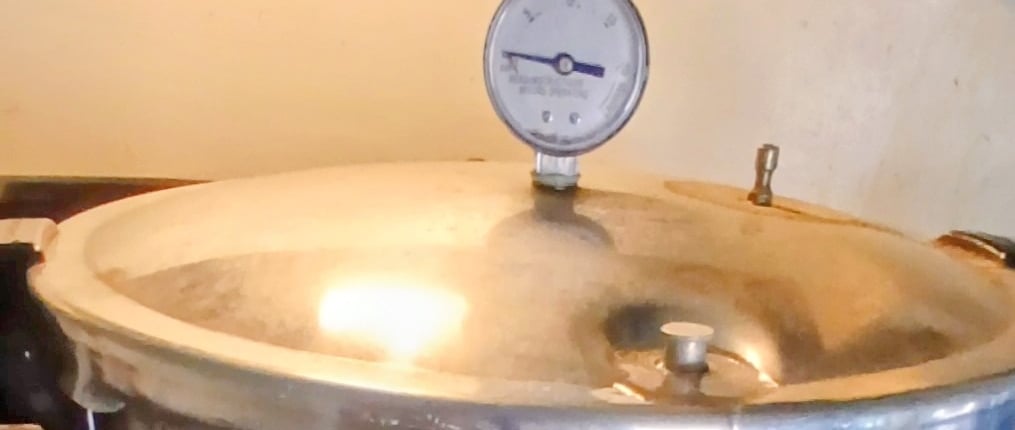 pressure cooker for mushroom cultivation