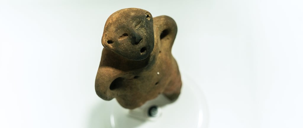 imagem de estatua rupestre museu de arqueologia de rondonia