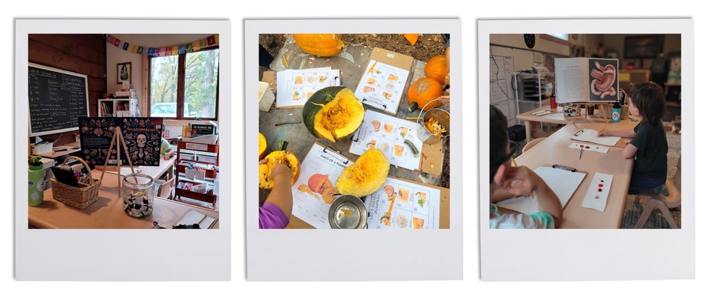 homeschooling photos