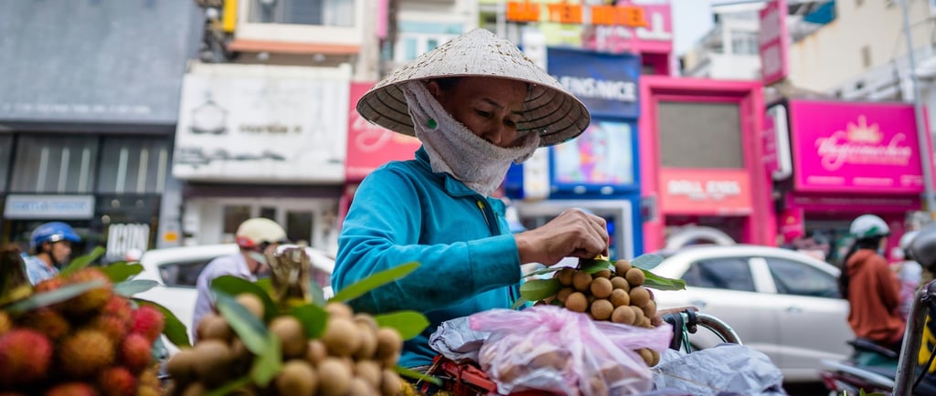 Local woman wearing a conical hat packing fruit on a sunny day in Vietnam, showing everyday life.