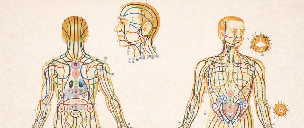 mappa meridiani shiatsu masunaga