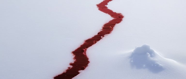 rio de sangre en la nieve