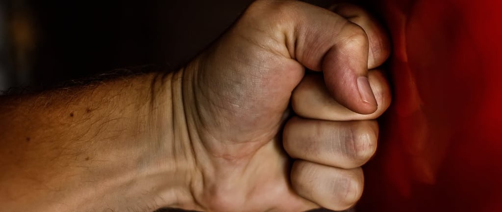 Photo by Pixabay: https://www.pexels.com/photo/human-fist-163431/
