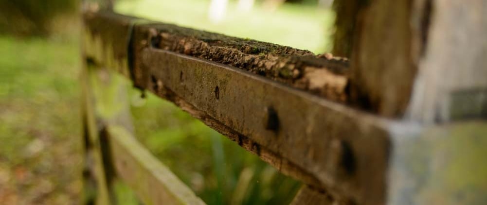 Picture of a wooden gate to the churchyard in Duxford. Photographer: Slawek Dejneka