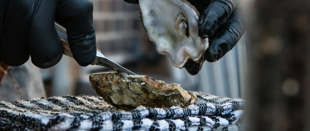 Une huitre ouverte par un écailler