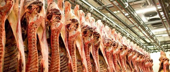 mortuary cold room refrigerators installed in hospital pathology department