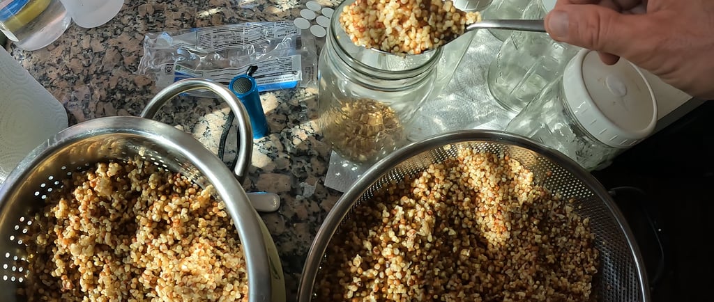 loading mason jars with wild bird seed