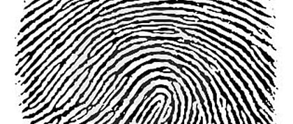 Digitus - Impressão Digital