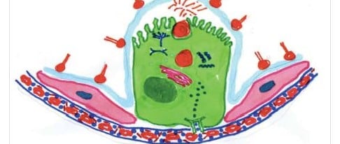 sindrom gangguan napas diagram