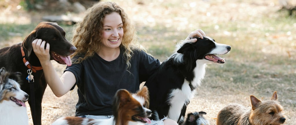 A função dos cães