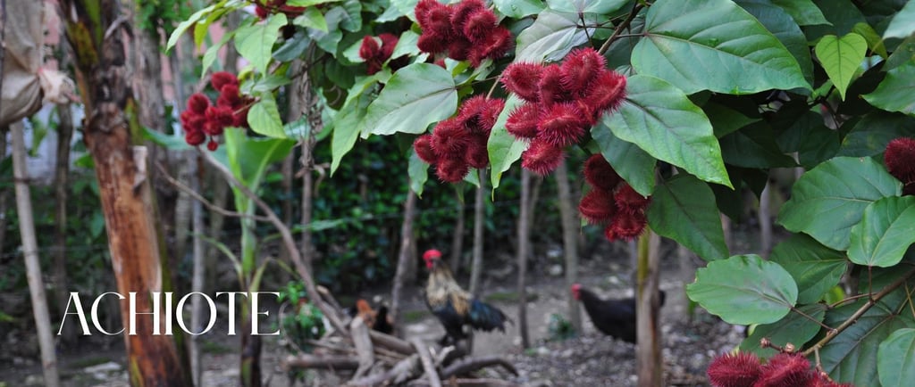achiote