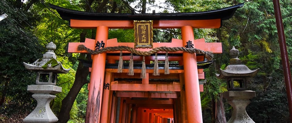 Porte torii vermillon dans la foret avec deux lanternes en pierre de part et d'autre