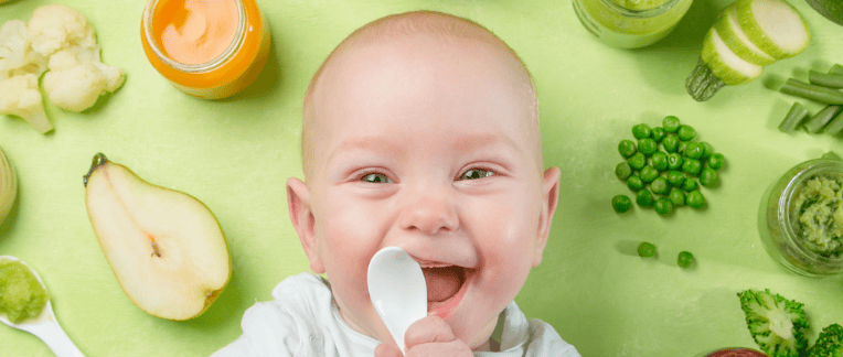 blog da nutri andressa