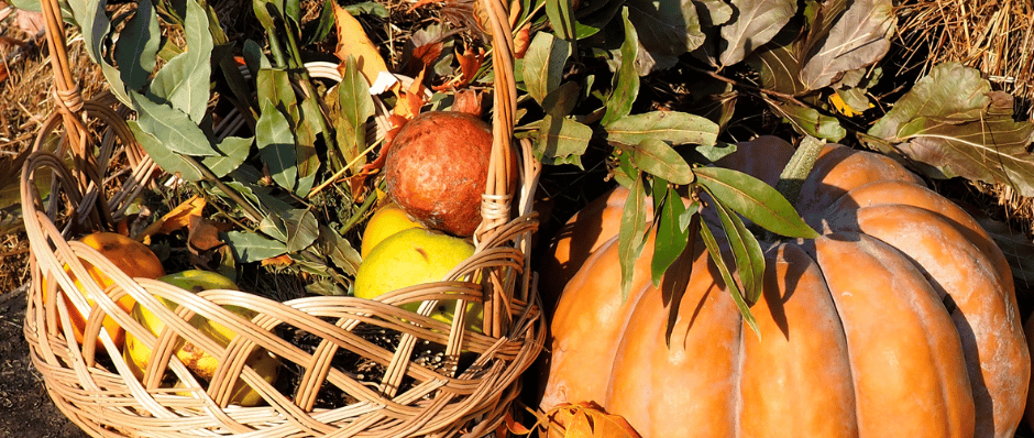 Halloween - Hallow's Eve - der Abend vor Allerheiligen