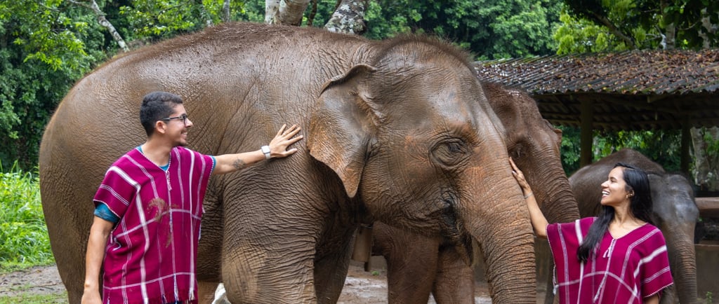 Elefante em Chiang mai